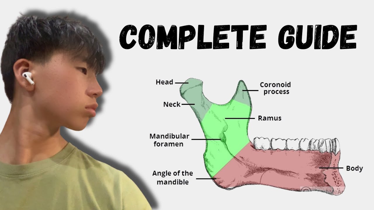 Ultimate Jaw Development Tutorial