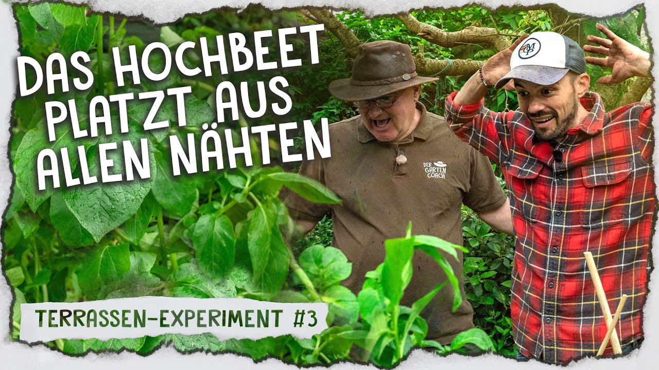 Unser Hochbeet im Mai & Kräuterbeet anlegen 🌿 - Pikieren, anhäufeln & auspflanzen