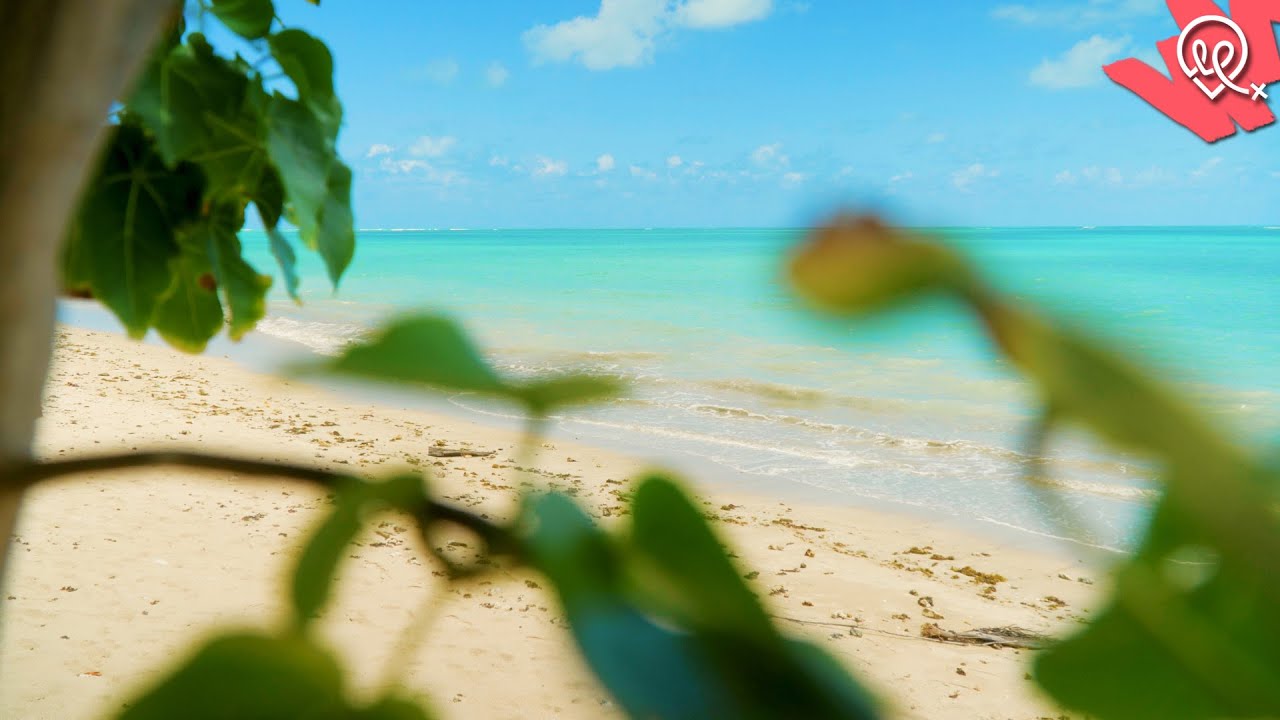 Praia de Lages - Porto de Pedras - ALAGOAS