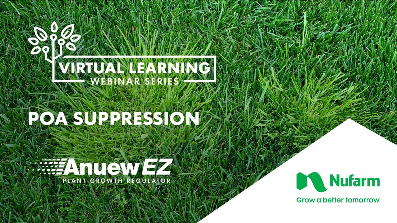 Anuew EZ   Poa Suppression