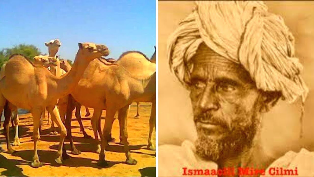 Hadeer baan hawaarsaday sidii habaryartay Dhool