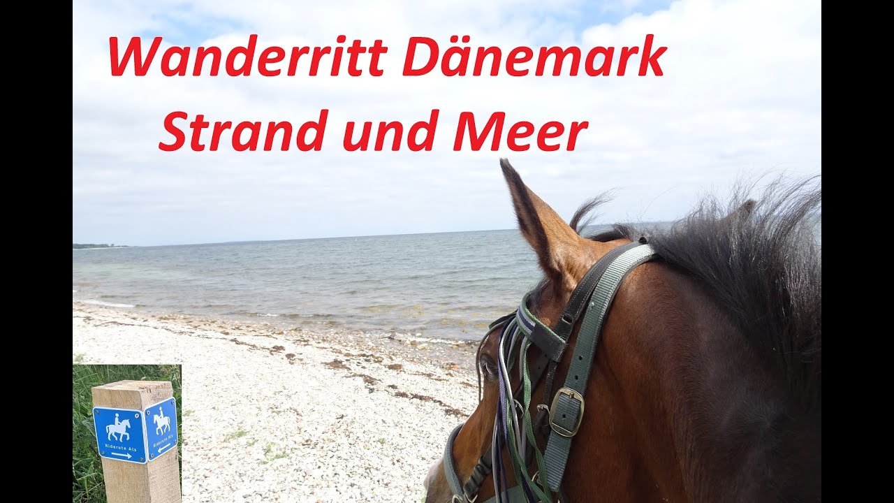 Wanderritt Reitweg Alsen 100 KM durch Dänemark | Wanderritte zum Nachreiten #1 | Horse Trail Riding