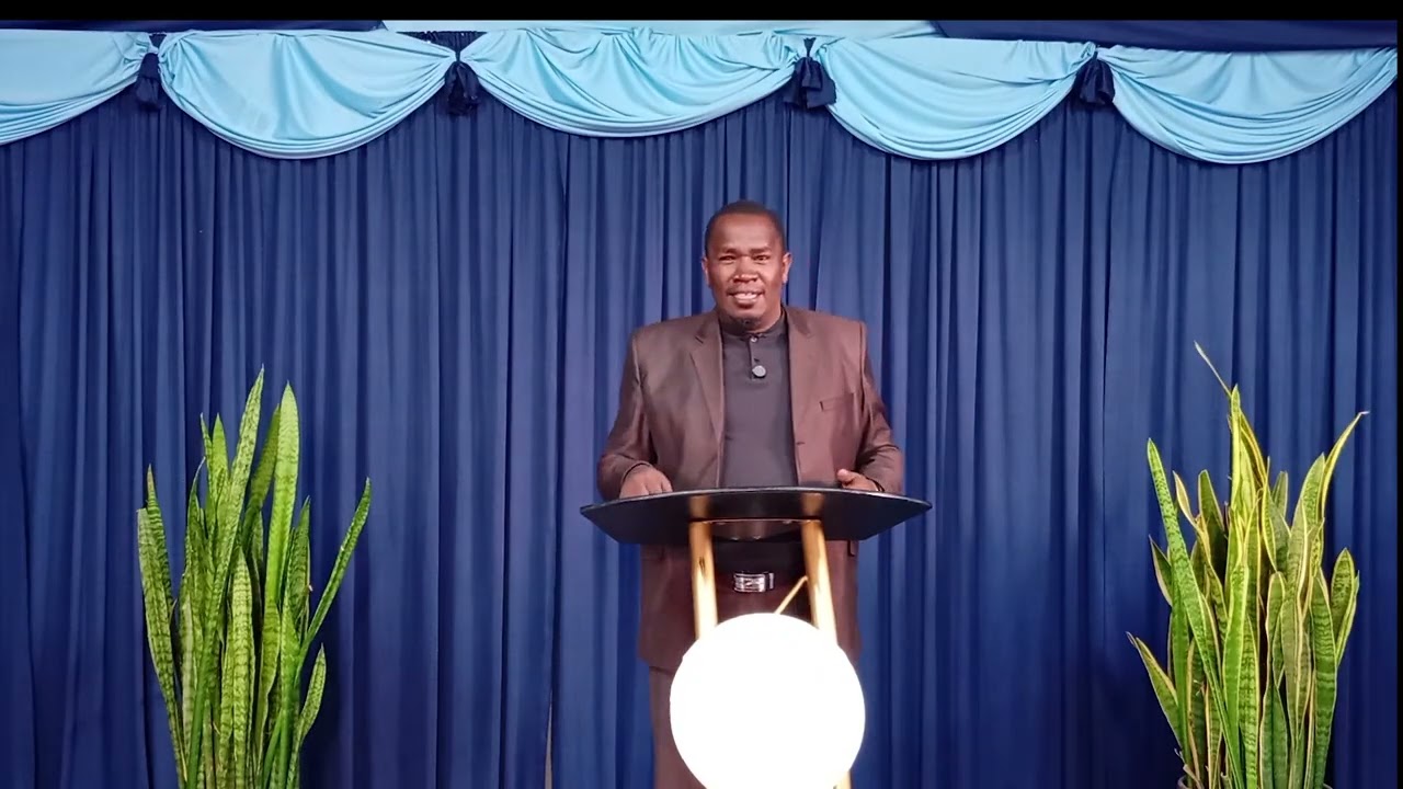 matthew 12