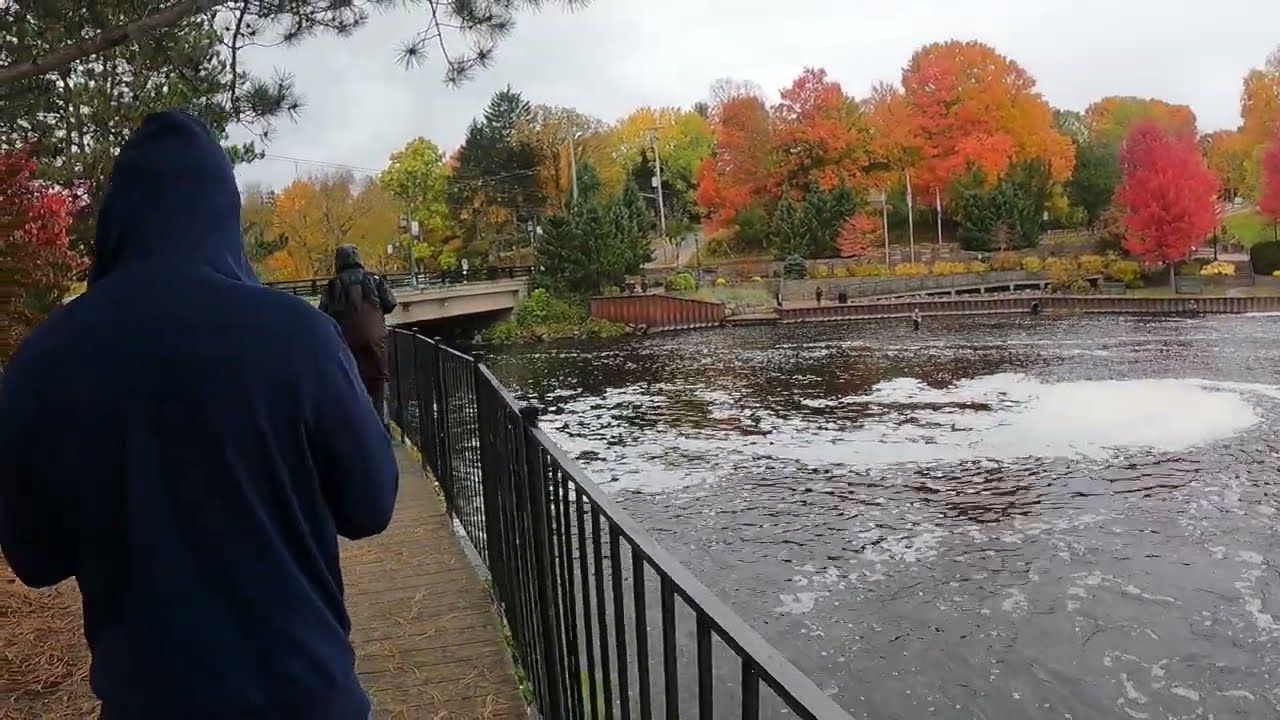 Rockford Dam and Rogue River, Michigan