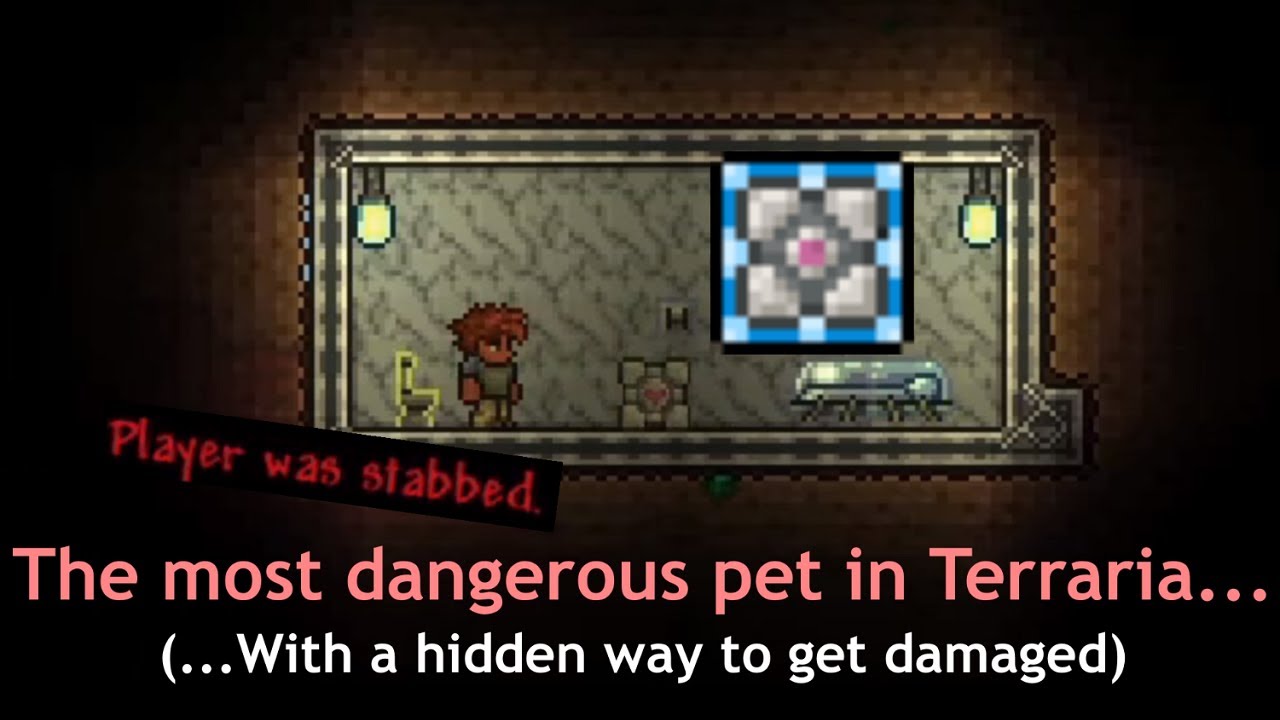 The most dangerous pet can hurt you... and never speak. ─ Terraria