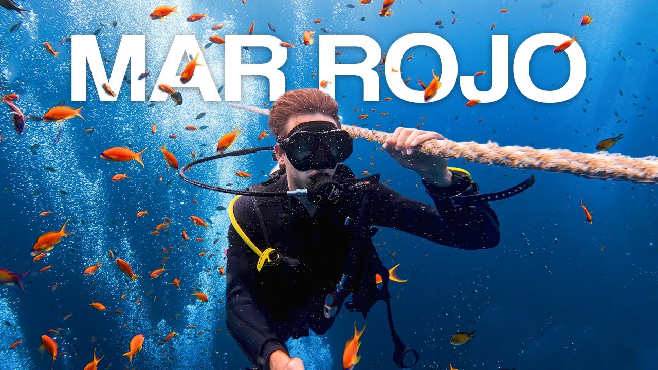 El Tesoro Oculto de Egipto | Mi Experiencia de Buceo en el Mar Rojo