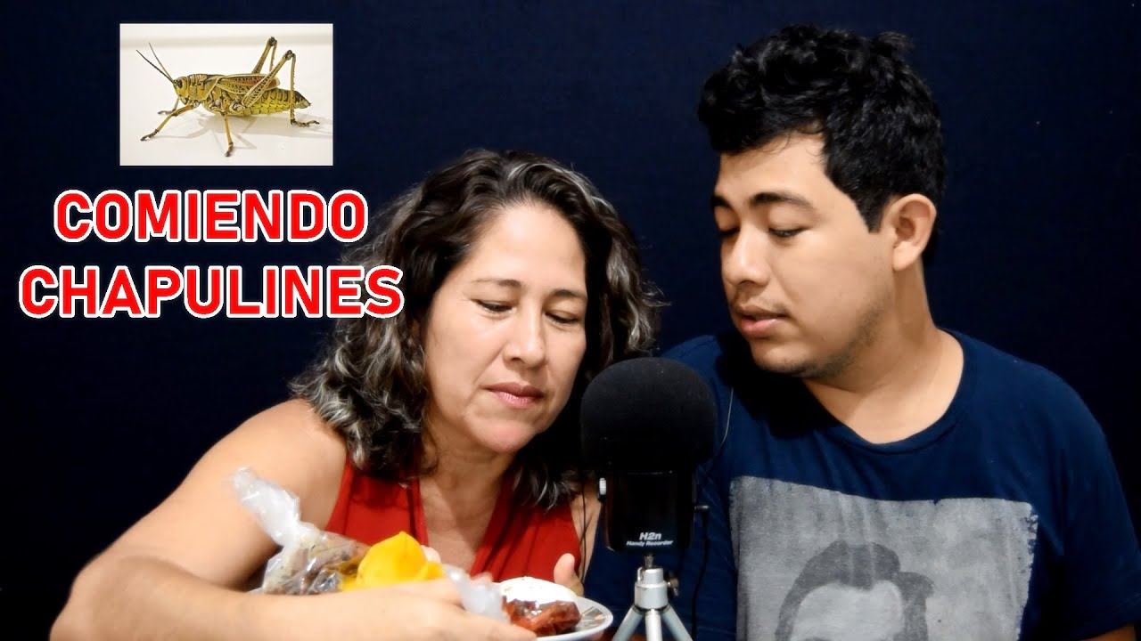 ASMR para dormir - Comiendo chapulines de Oaxaca ft. Mom Gongu