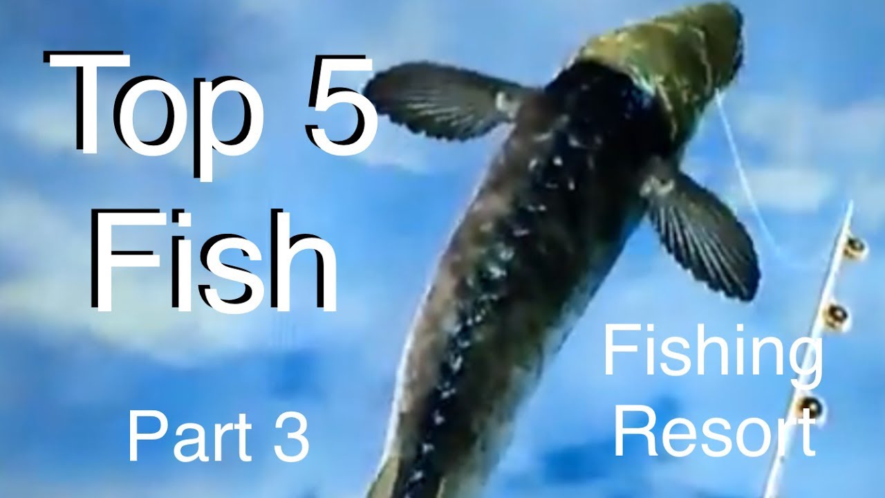 Top 5 Fish - Fishing Resort Wii - part 3