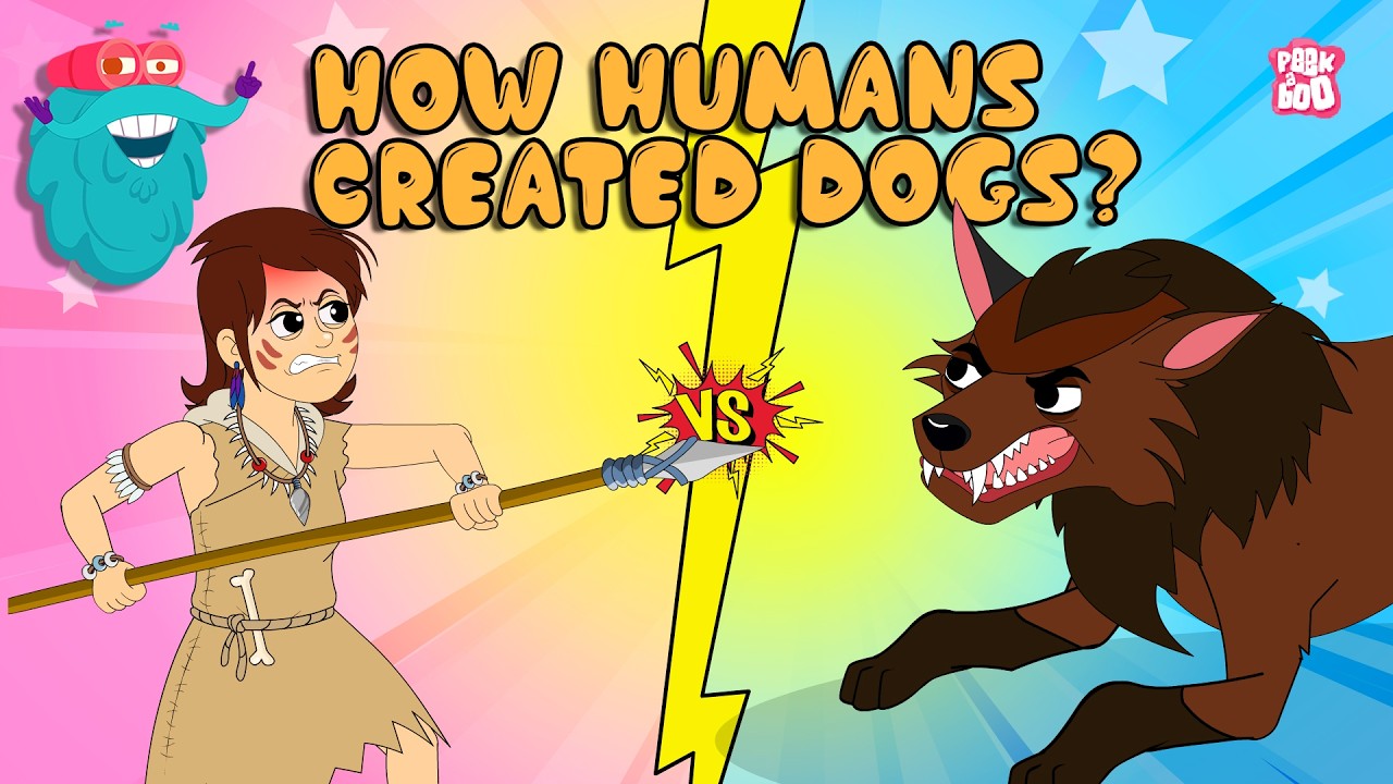 The Incredible Evolution of Dogs | How Humans Accidentally Created Dog? | How Wolves Became Dogs?