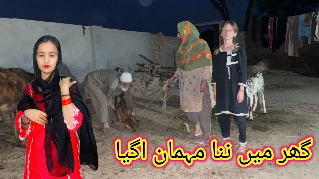 Ghar Ma Aik Nana Mehman AAGaya 🤩 Puray Family Bahut Khush 🤗