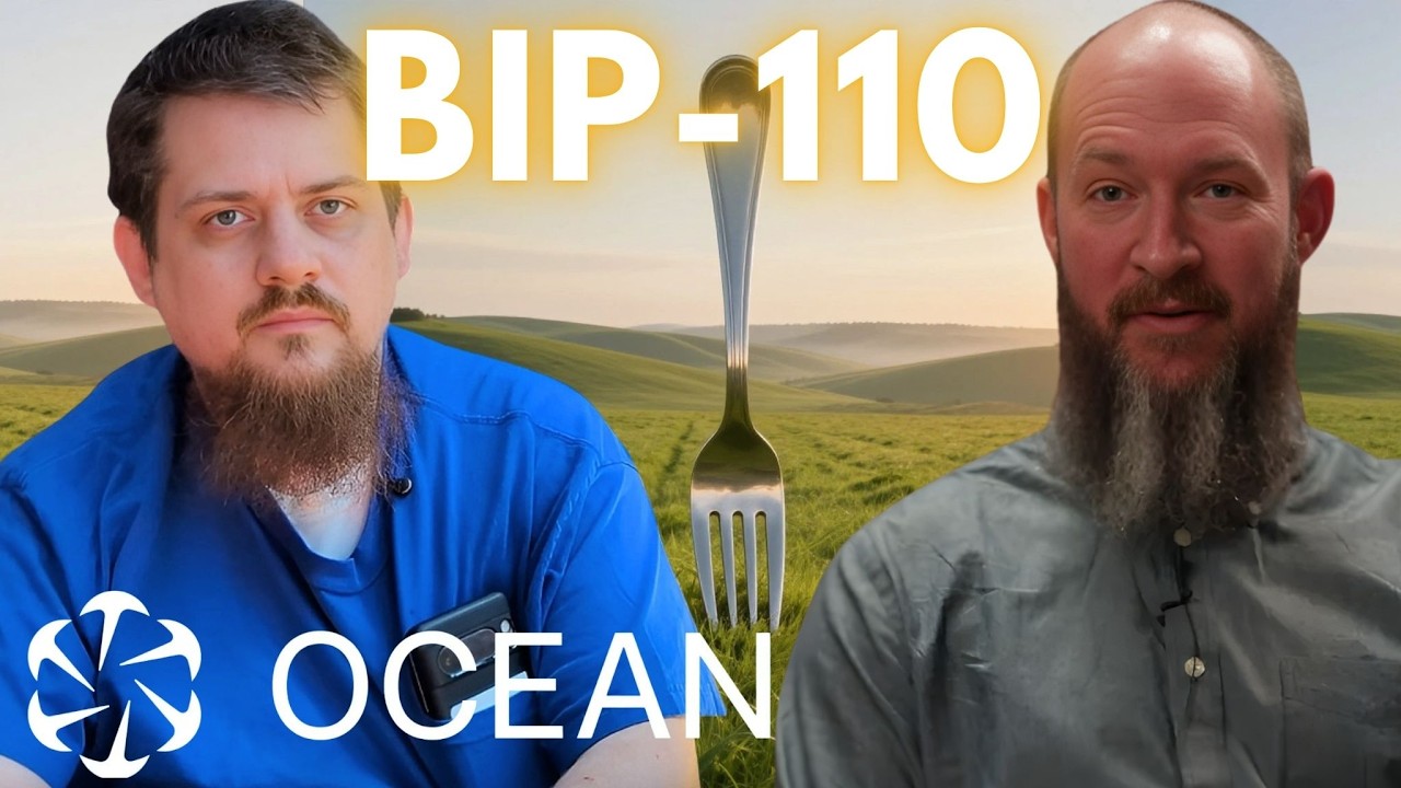 Руководство для неспециалистов по BIP-110