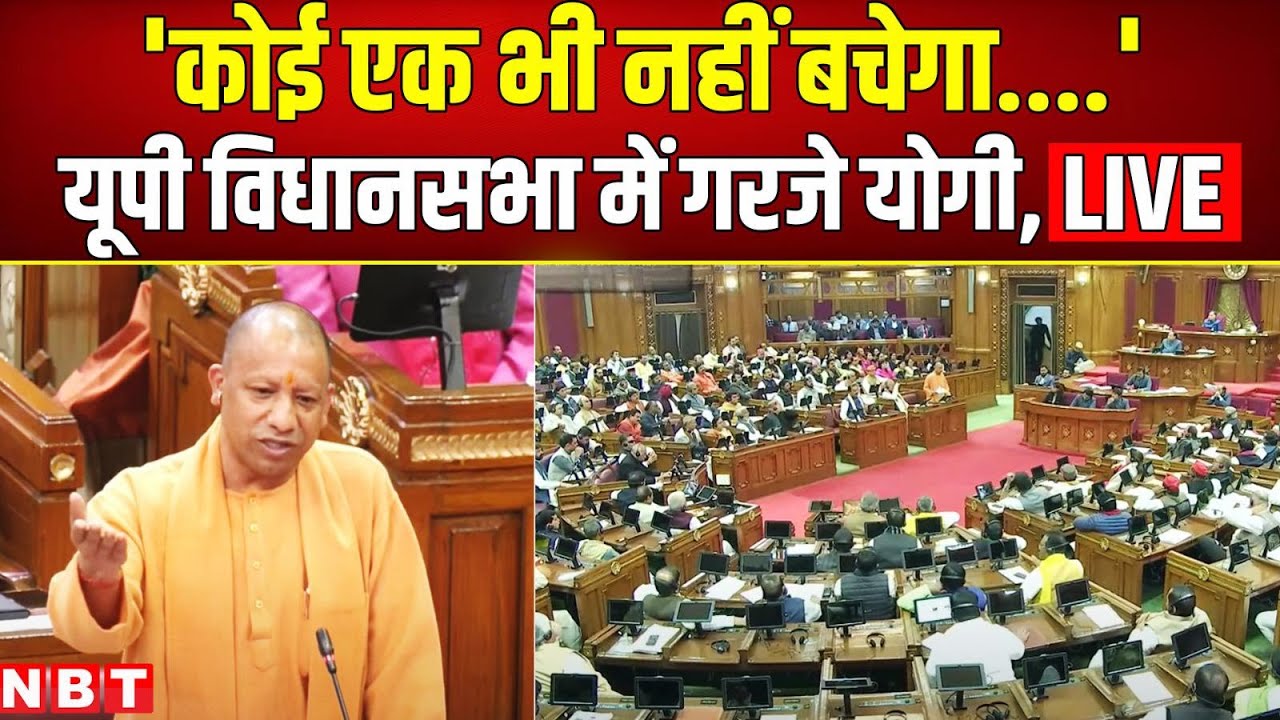 CM Yogi Adityanath Speech | UP Assembly session | Sambhal Violence | Congress | Akhilesh Yadav | NBT