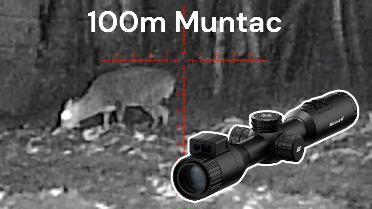 Muntjac & Hare @ 140m with the DNT ZULUS 4K Tubed