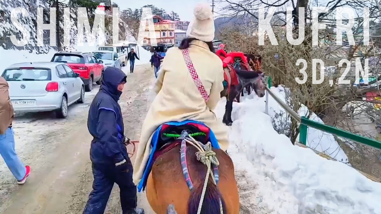 Kufri & Shimla, Himachal full tour 🏞️ All details with contact numbers in caption !!