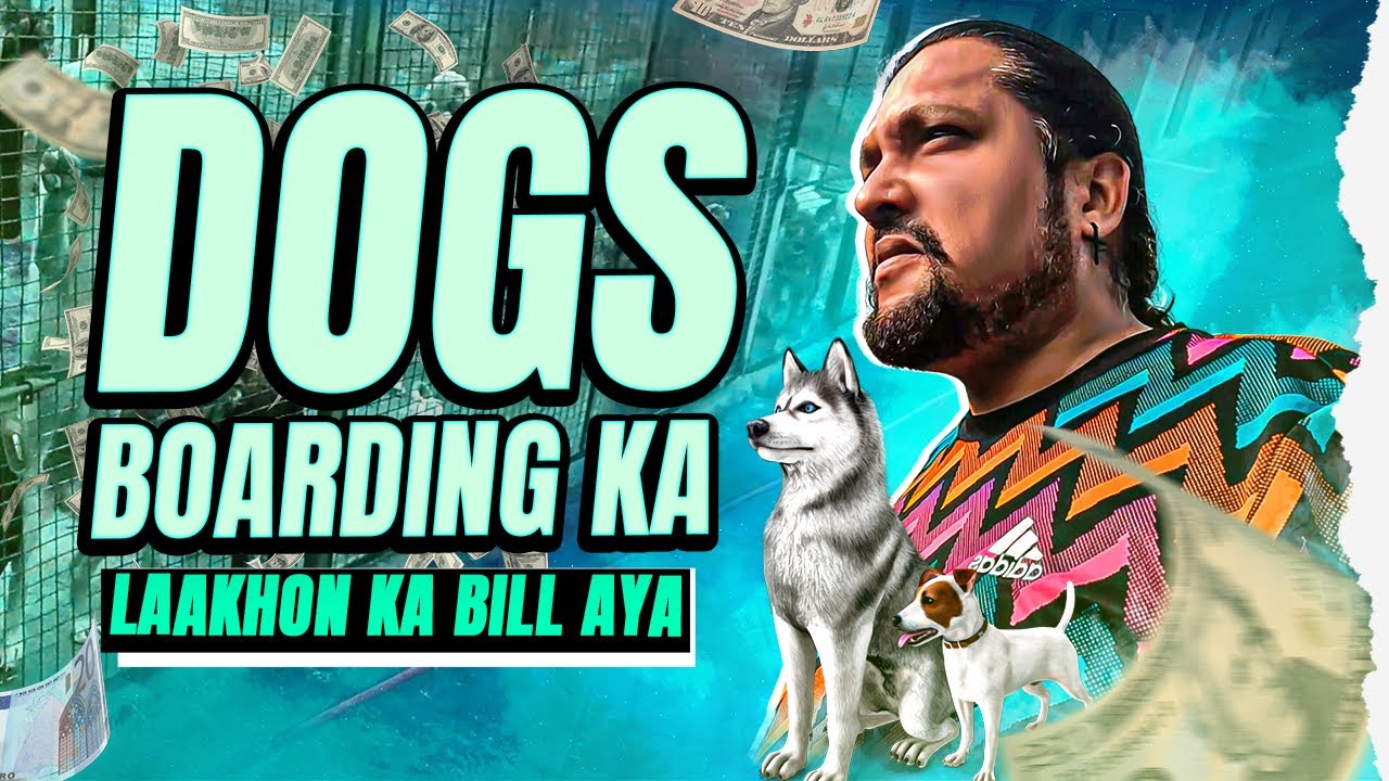 Laakhon Ka Bill Aa Gaya Dogs Boarding Ka | Tatva K Vlogs