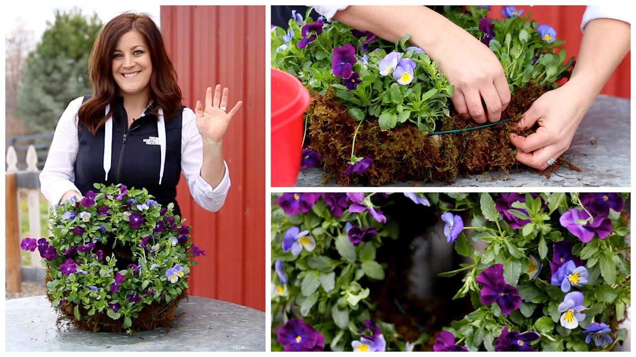 How to Make a Pansiola Wreath (Full Version)