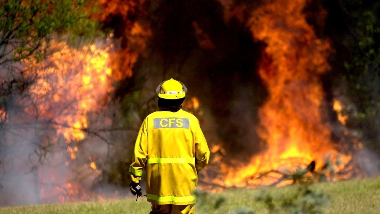 Kangaroo Island devastated by fires, 150,000 hectares burnt