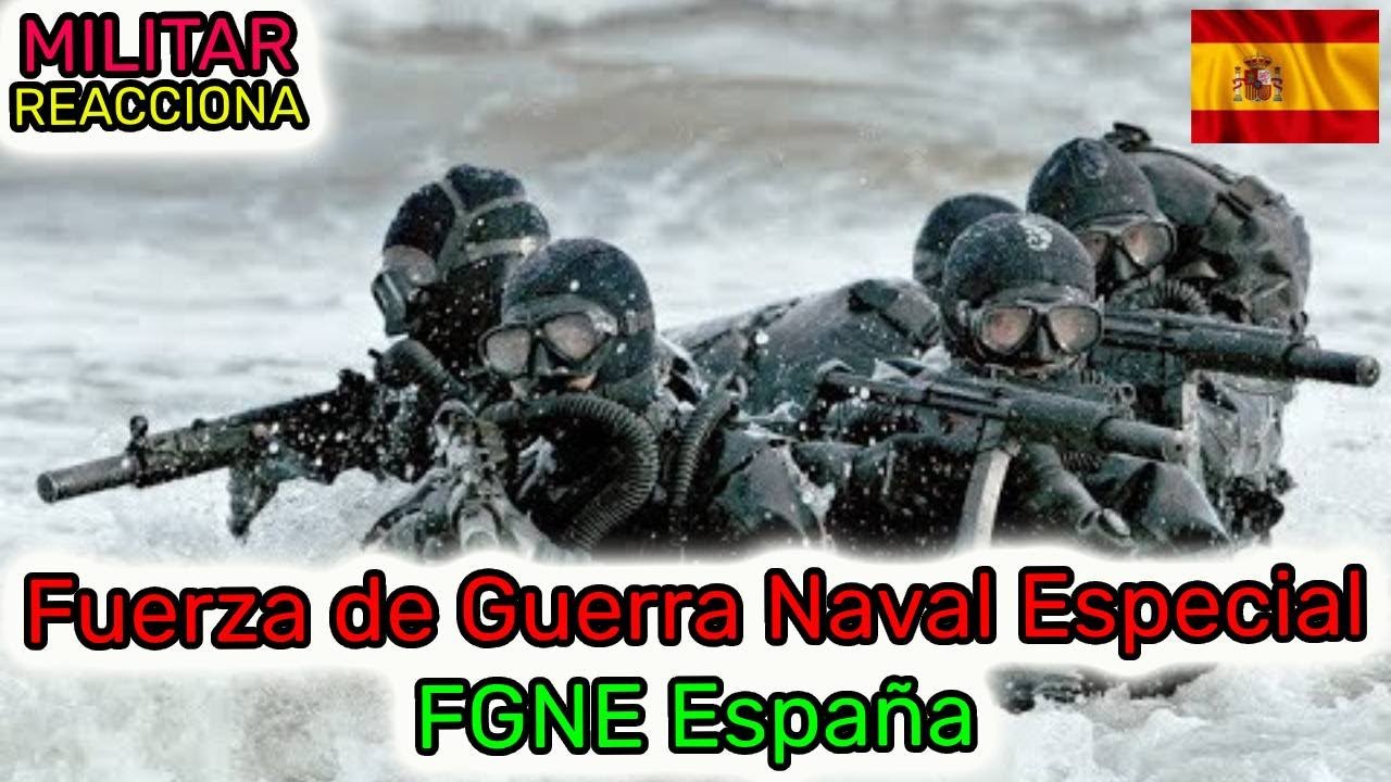 FUERZA DE GUERRA NAVAL ESPECIAL (FGNE) ARMADA ESPAÑOLA