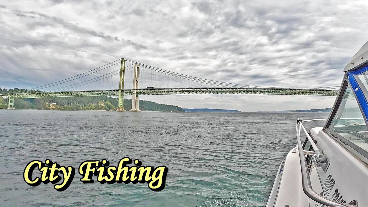 City Fishing Puget Sound