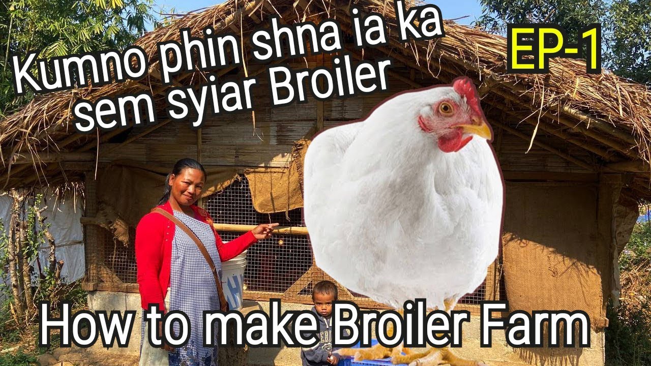 Kumno Phin Shna ia ka sem Syiar Broiler | How to make broiler sheds | Poultry farm Meghalaya|KYNTIEW
