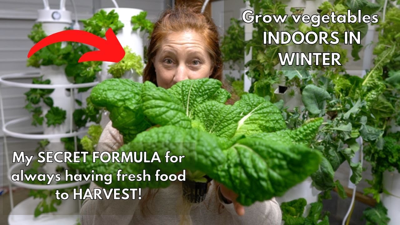 GROW VEGETABLES INDOORS in the WINTER. My SECRET FORMULA for always having FRESH FOOD to harvest!