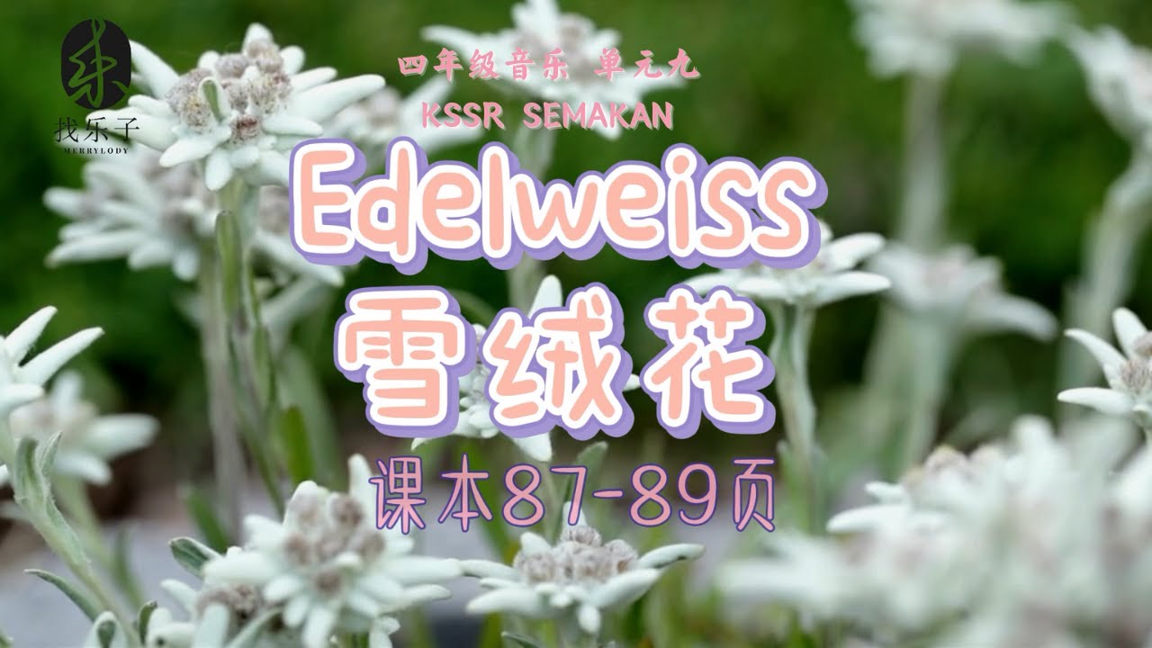 四年级音乐【单元九：精雕细刻的花】 《Edelweiss》歌曲 Track68 | 艺术教育课本87-89页| 找乐子KSSR SEMAKAN | 一起来唱歌 | 卡拉OK版