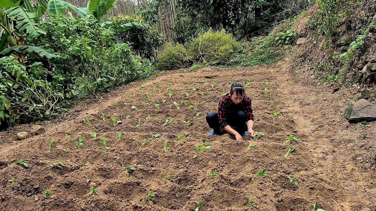 The woman lives in an abandoned house, reclaiming land to grow vegetables.