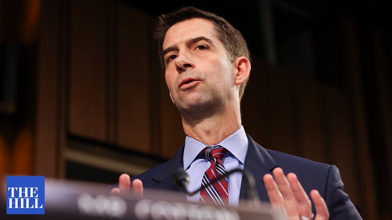 Tom Cotton says Critical Race Theory encourages RACISM in military