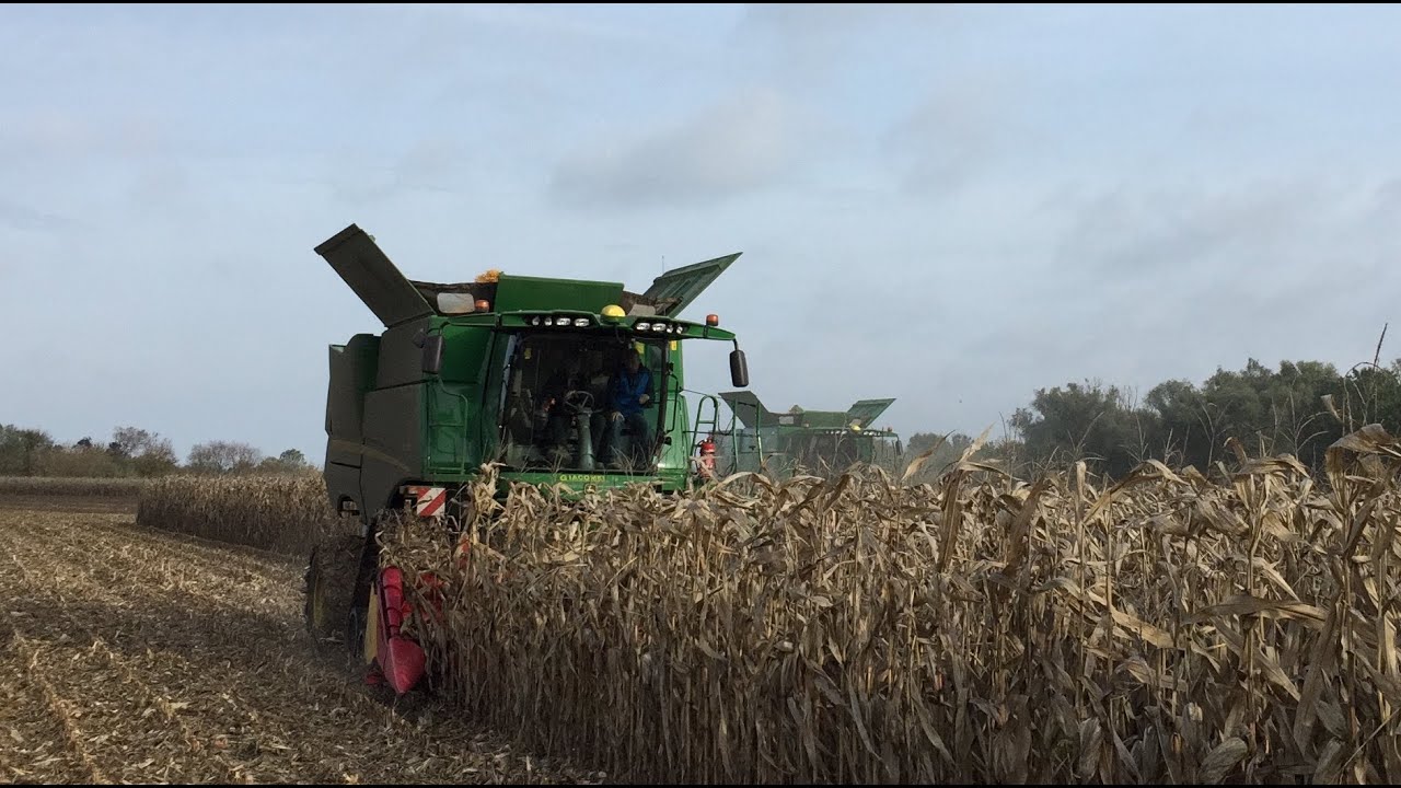 XXL moisson de maïs / John Deere S770i à roues et à chenilles / Capello 6rgs Quasar et 8rgs Diamant