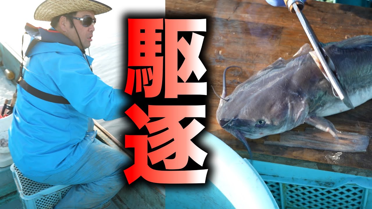 【奇食】霞ヶ浦の新規反逆者アメリカナマズを自ら捕獲して提供する飲食店「うなぎ村」