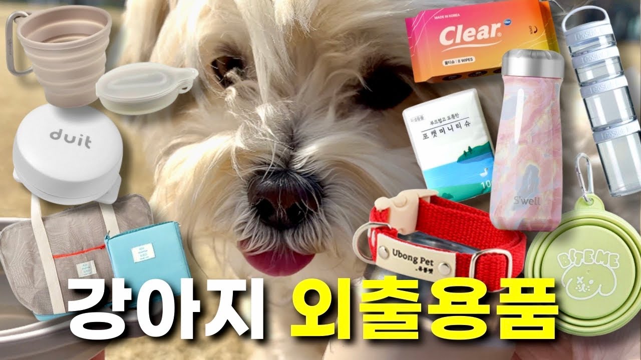 🐶강아지와 외출할 때 삶의질상승 시켜주는 꿀템 모음집!!!
