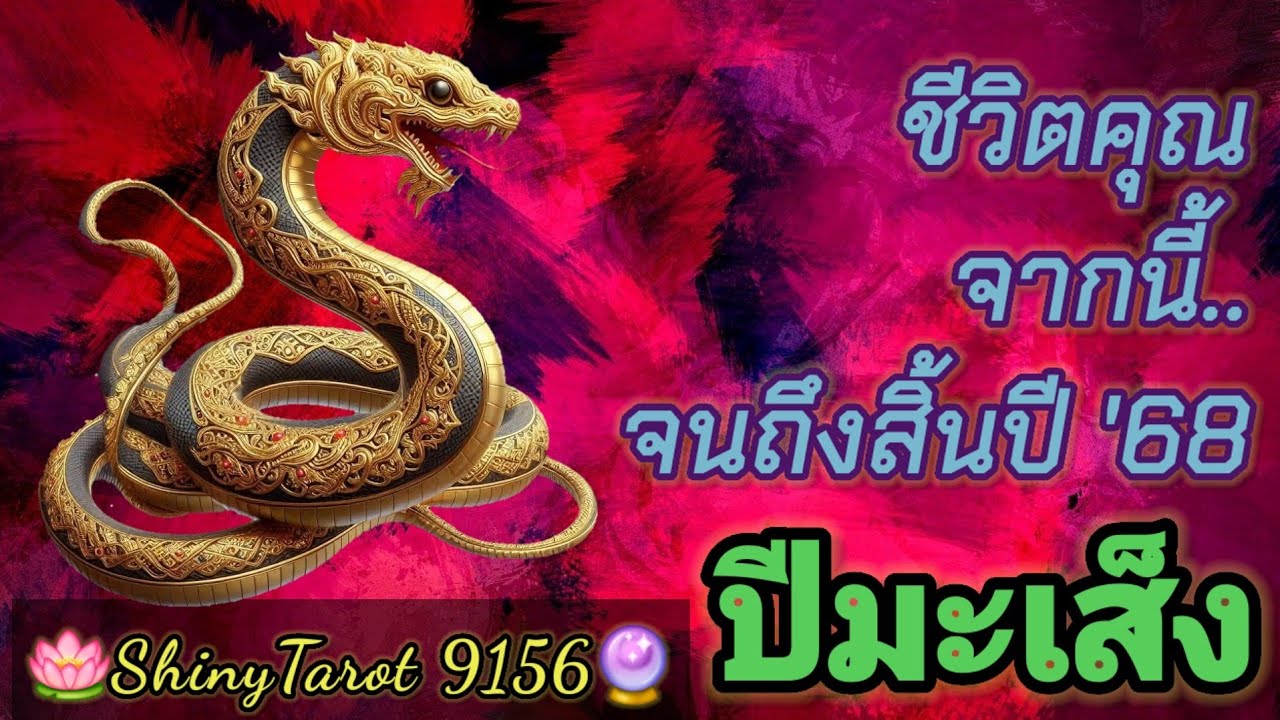 ปีมะเส็ง🐍ชีวิตคุณจากนี้..จนถึงสิ้นปี '68 (นับจากวันที่ฟังคลิป)🪔@ShinyTarot9159🔮