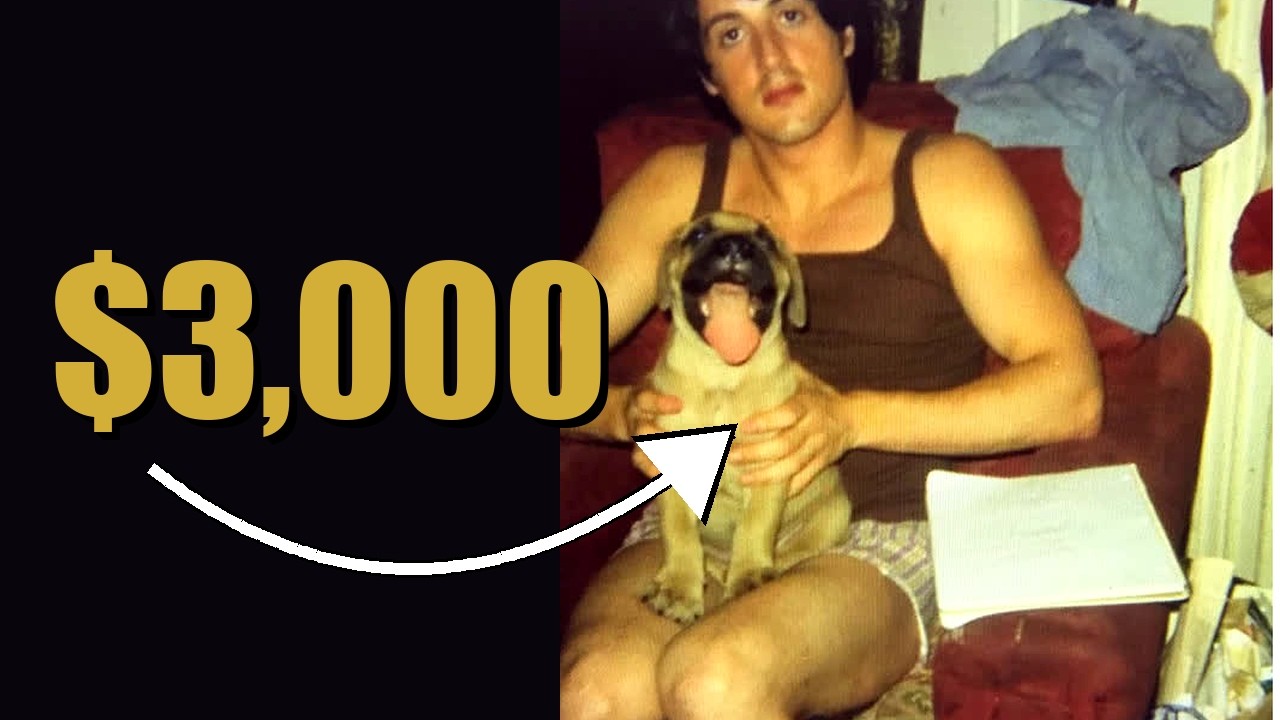 Stallone Sold His Dog For $50. Bought Him Back For $3,000.