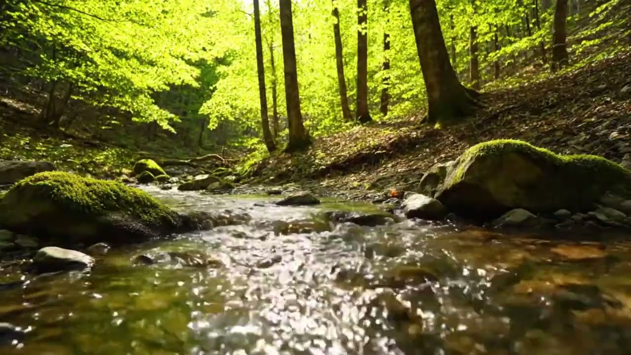 Peaceful Rainy River Atmosphere with Soft Piano for Better Sleep