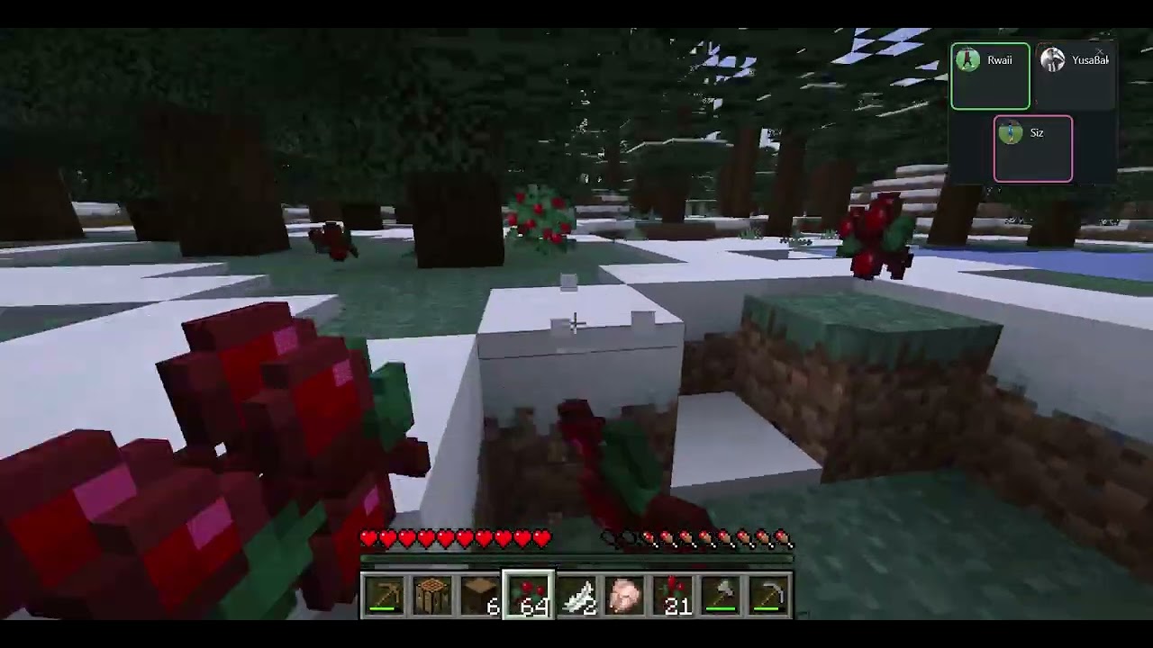 Atahan ve Rüzgar ile MC Survival