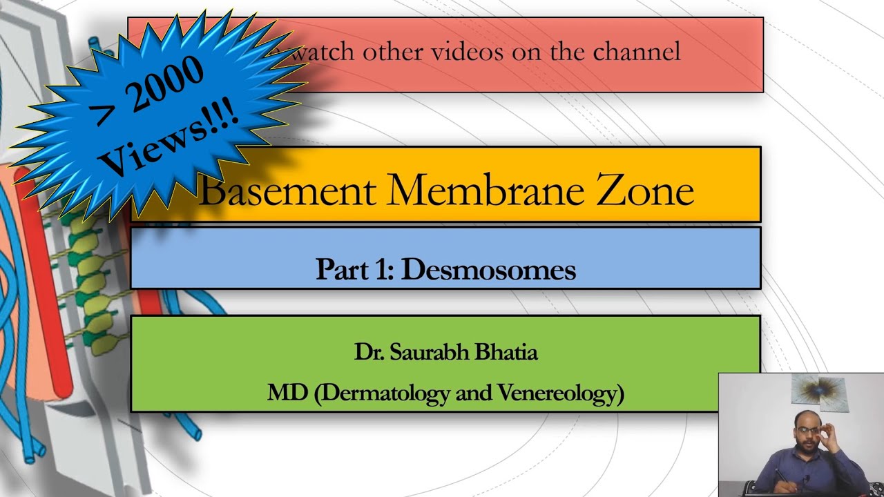 Basement Membrane Zone [BMZ]: Part 1 - Desmosomes