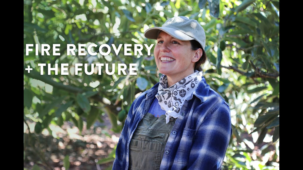 Meet California Avocado Grower Catherine Pinkerton Keeling