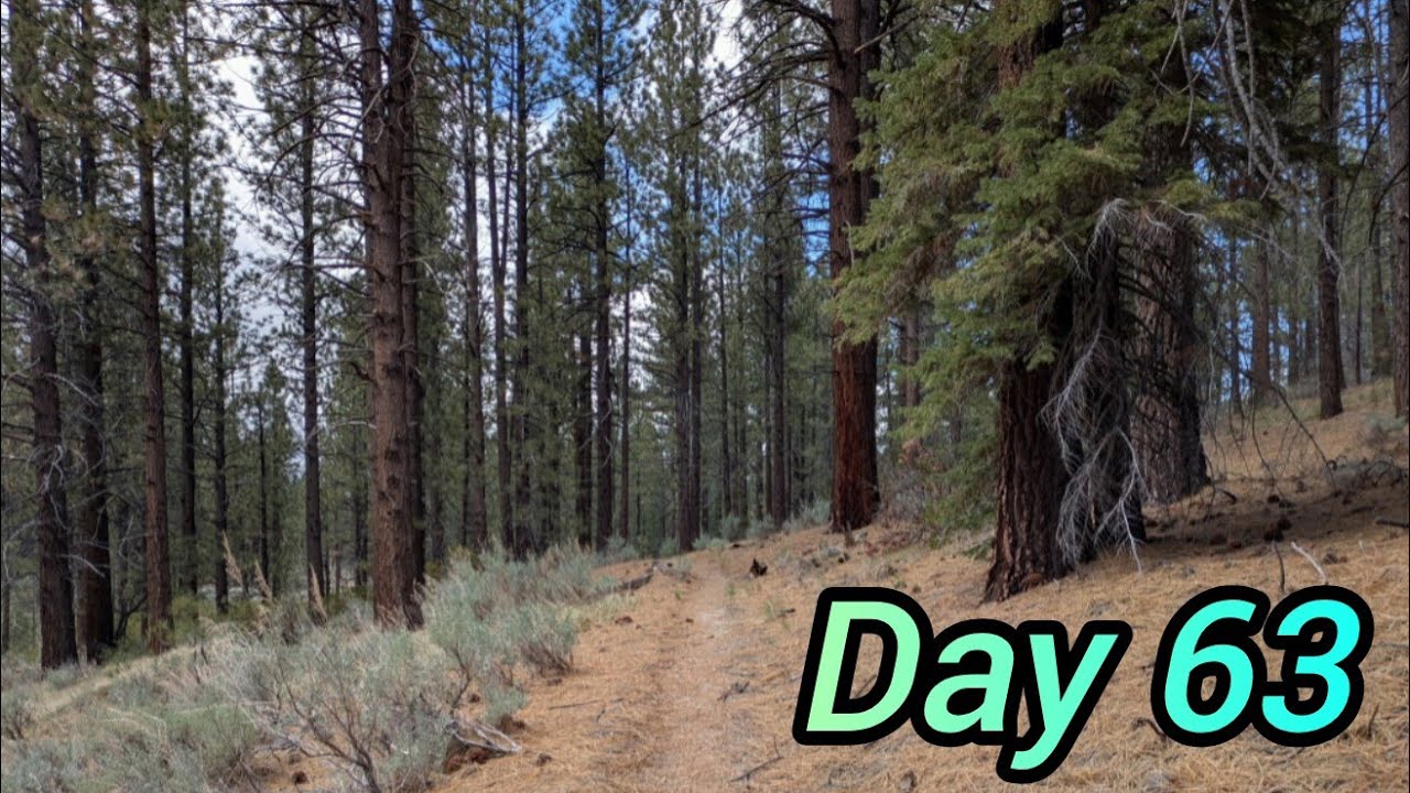 PCT 2025 | Day 63 - 600, Changing Scenery, and Fire