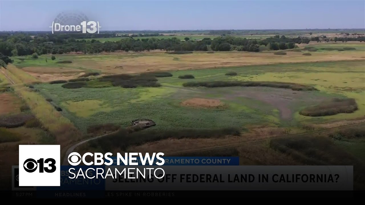 U.S. considers selling more than 16 million acres of federal land in California for housing