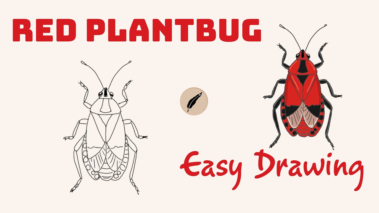 How to Draw an Easy Red Plant Bug 🐞  Simple Insect Drawing for Kids  Step by Step  #lidoartworks