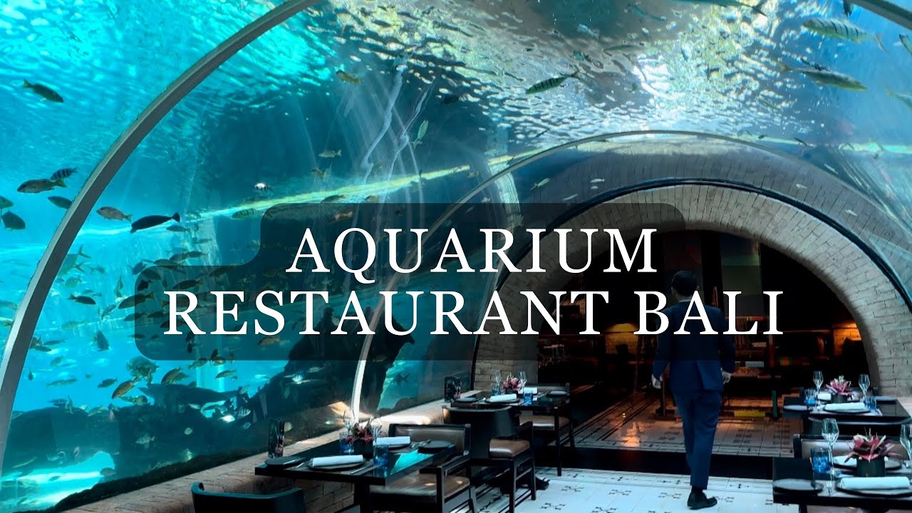 Koral Bali’s First Aquarium Restaurant at Apurva Kempinski Nusa Dua | Unique Fine Dining Experience