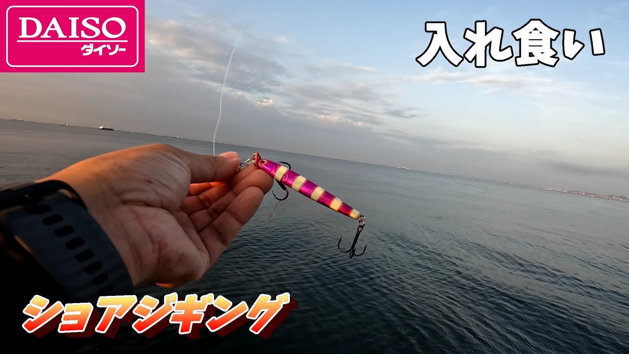 これは珍しいジグを落とせばもう入れ食い！ダイソーショアジギングが面白い！【COROS NOMAD】