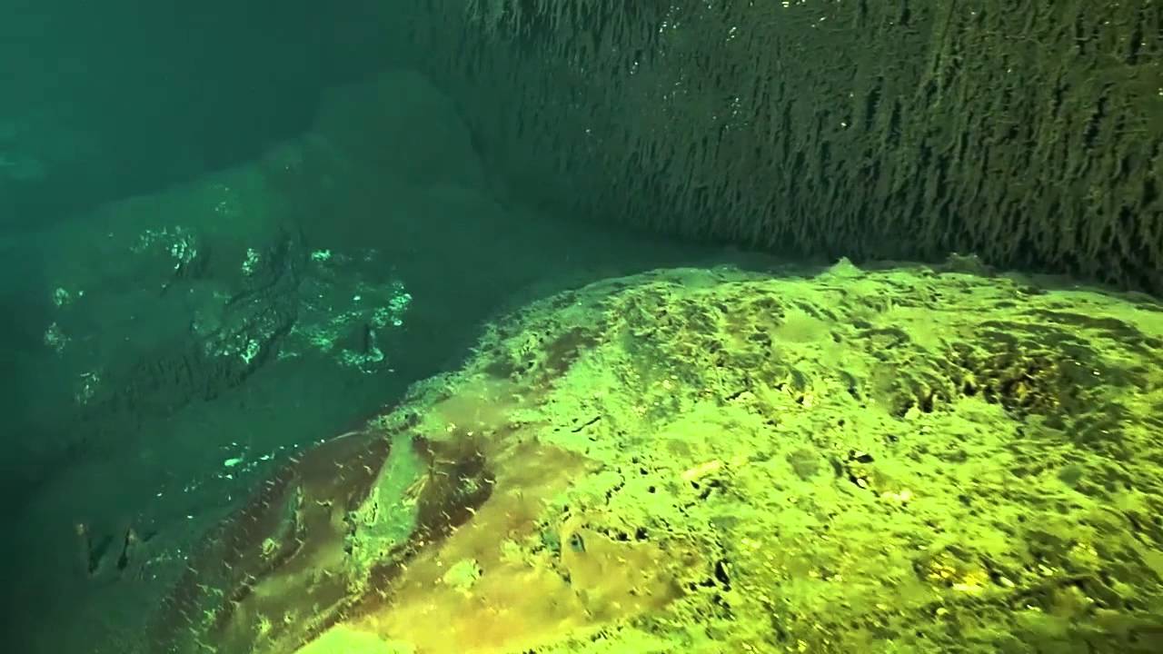 Warm Mineral Springs - North Port Florida