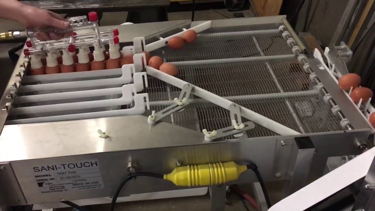 Sani-Touch Model 10CS with Tray Pak (Egg Washer and Packer)