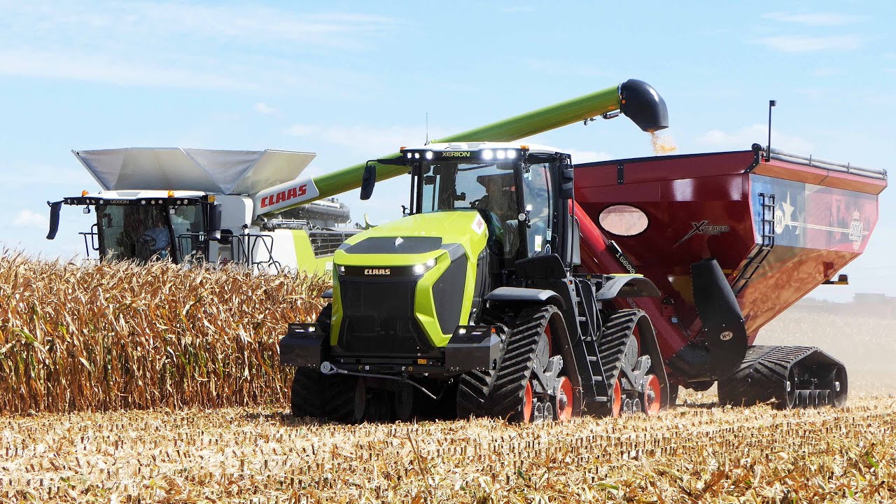 Corn Harvest Field Demo with Grain Carts at Farm Progress Show 2025 - All Combines Harvesting Corn