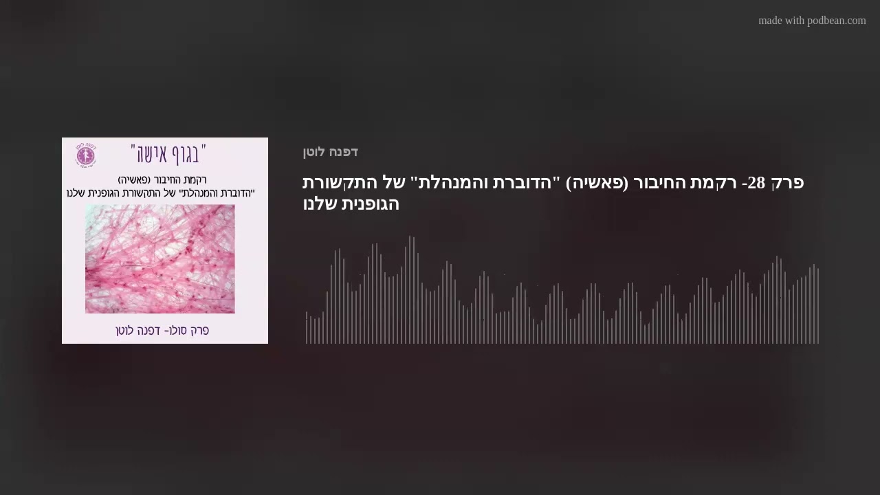 פרק 28- רקמת החיבור (פאשיה) 
