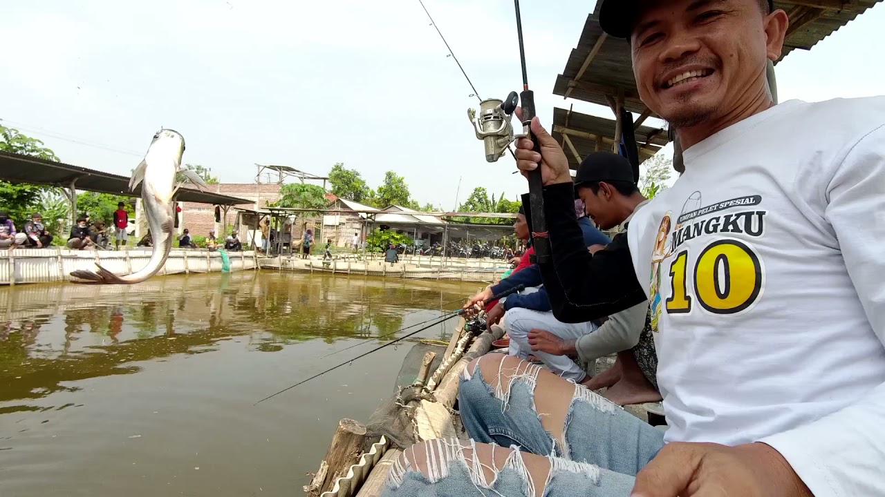MABER MERIA IKANYA LOOPPP//KP.IDAMAN NGUSIKAN