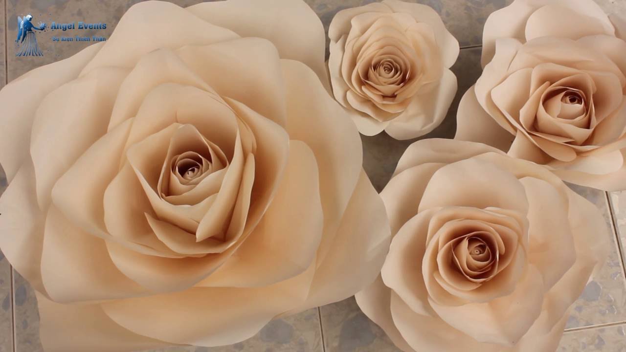 paper roses. Hướng dẫn làm hoa hồng bằng giấy cực dễ cực đẹp