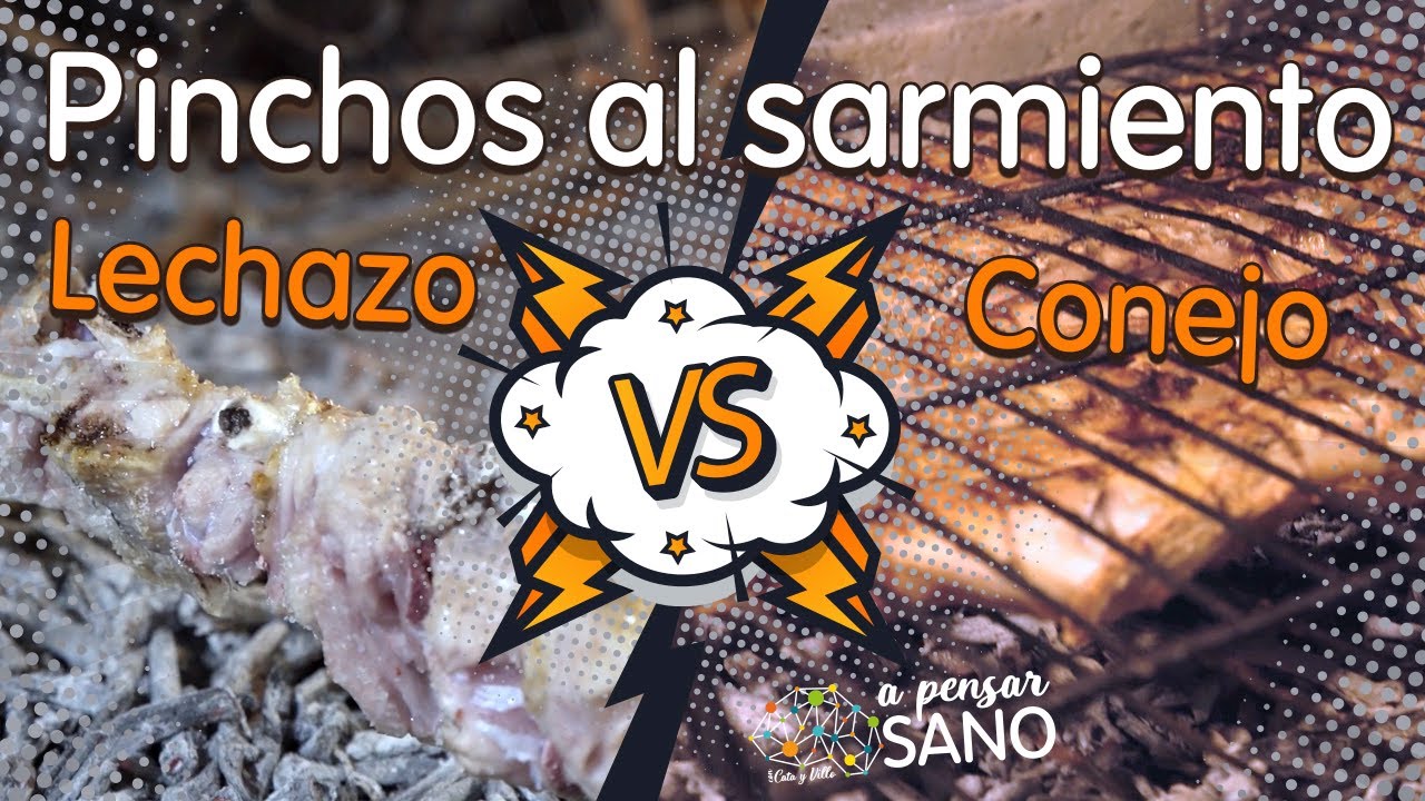 🆚🆚 Receta de conejo a la brasa VERSUS lechazo a la brasa (Restaurante Mesón de Pedro y Los 12 Arcos)