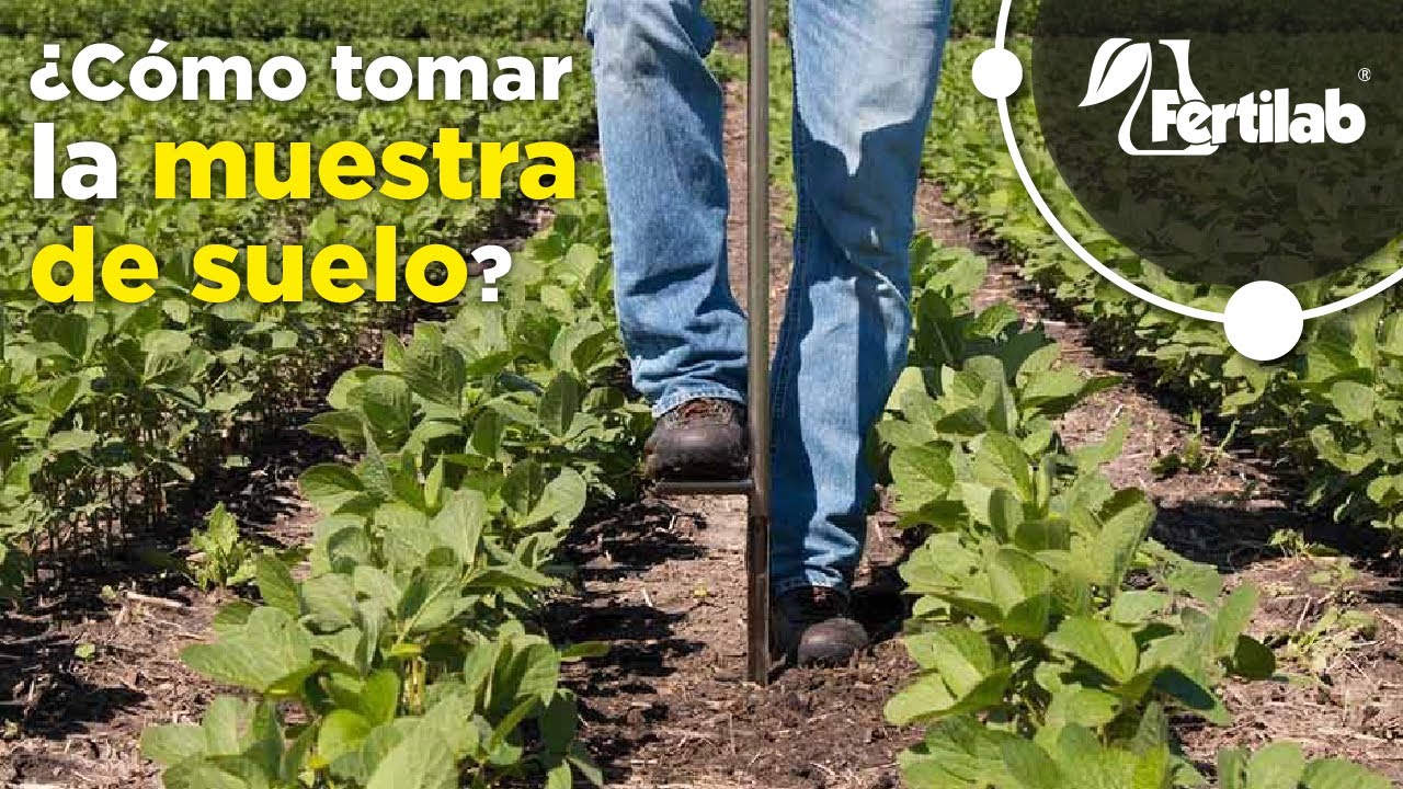 ¿Cómo tomar una muestra de suelo?